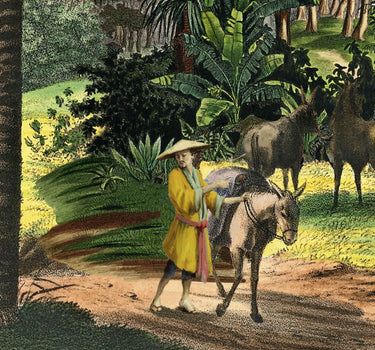 On the banks of the Mekong
