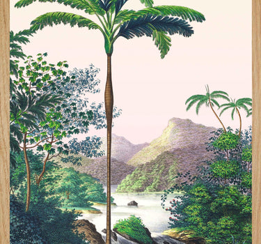 On the banks of Japura