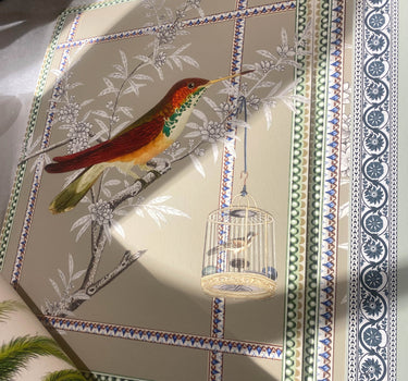 Flybird of clemency