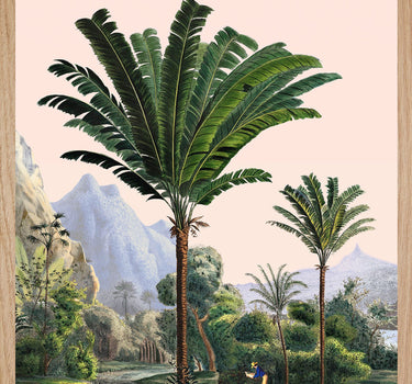Manicaria