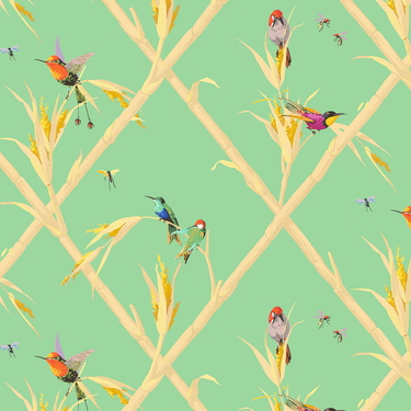 Papier peint Colibris fond vert amande