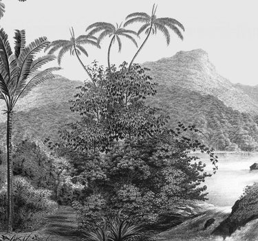Panoramic Paradise black and white