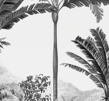 Échantillon Paradise noir&blanc