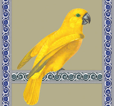 Perroquet citron & ruban