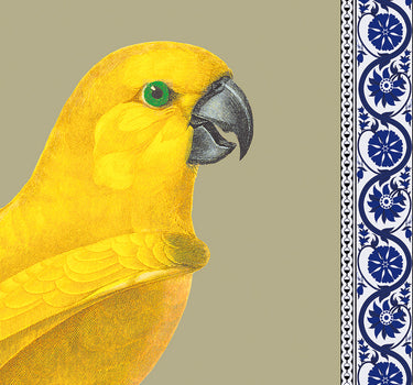 Perroquet citron & ruban
