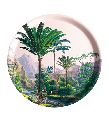 Plateau Manicaria