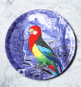 "Plateau rond Perroquet et rose des vents motif jungle perroquet boussole"