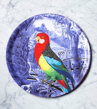 "Plateau rond Perroquet et rose des vents motif jungle perroquet boussole"