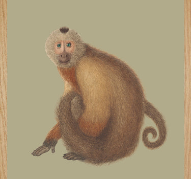 SAÏ