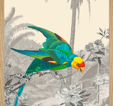 Royal parrot