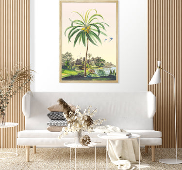 Coconut tree