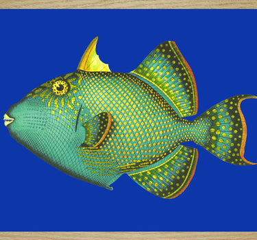 Emerald triggerfish 